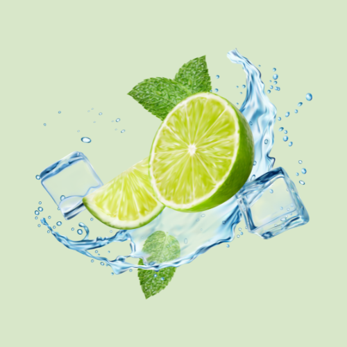 Mint mojito
